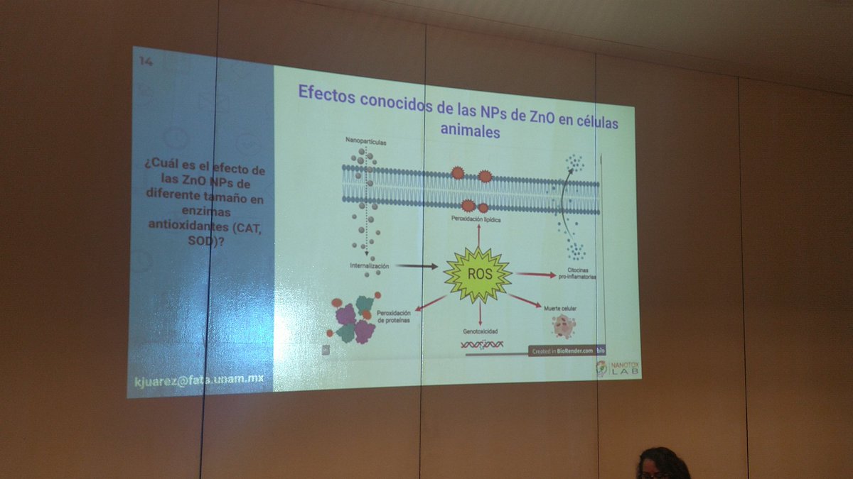 Gracias Dra. Karla Oyuki <a href="/NanotoxL/">nanotox_lab</a> por tu hermosa charla en el XXI Congreso Nacional de Ciencias Químico Biológicas en la <a href="/udlap/">UDLAP</a> 
#goNano