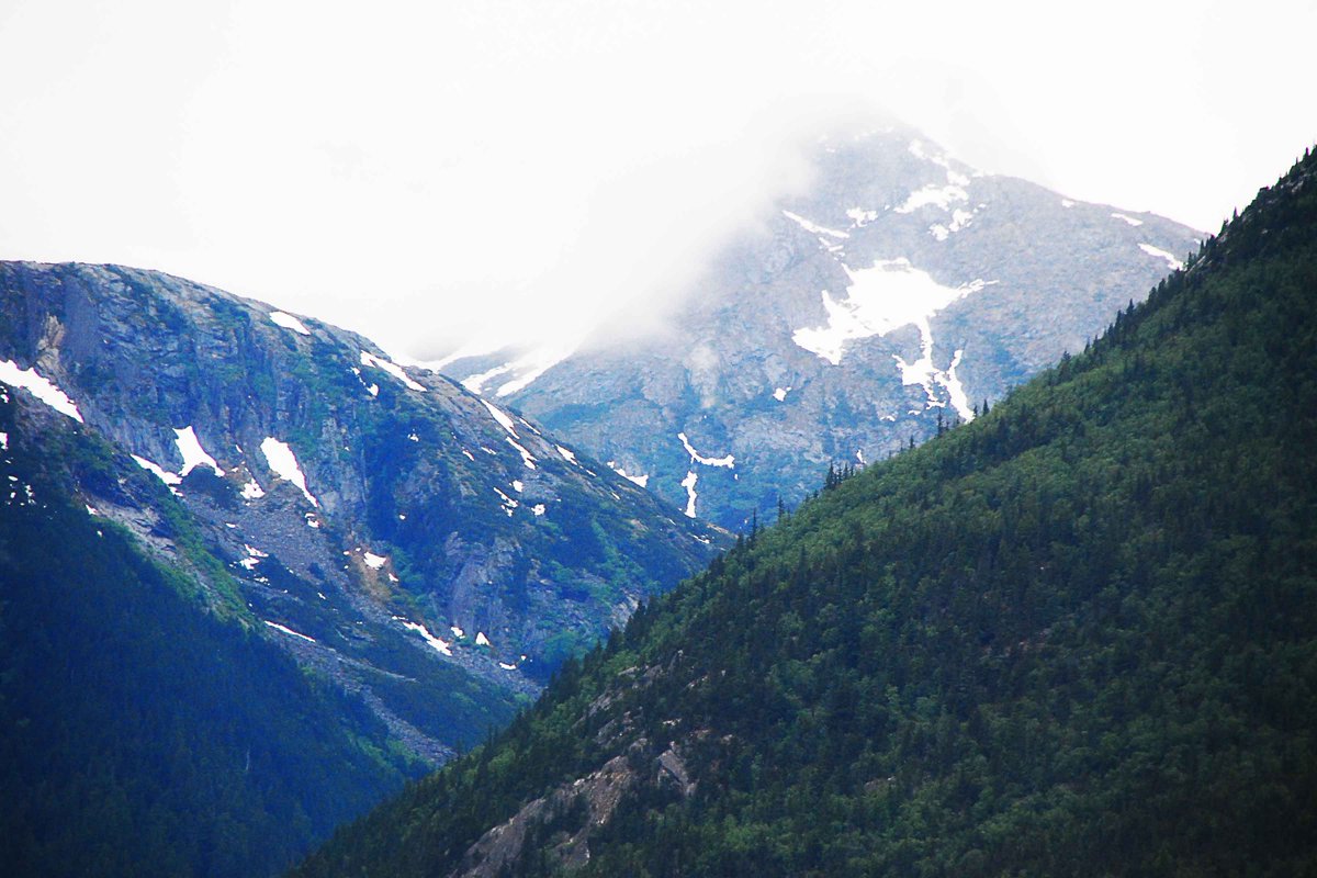 Revisiting a piece from 2018 called 'Forest, Glacier, Mountain.' Gonna work on posting more, I've been busy. If you ever have a chance to see Alaska, I urge you to go. #alaska #landscape #photography #naturephotography #forest #mountain #glacier #simonehesterart #wonderlust