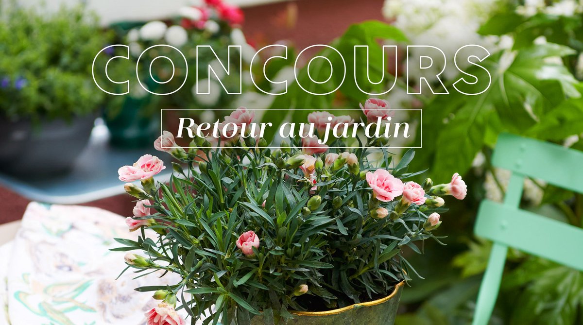 Truffaut's tweet image. ☀️#Concours
Le printemps approche ! Tentez de remporter 1 carte cadeau de 100€ pour vous faire plaisir en magasins 🌸
Pour jouer :
🌼Follow @Truffaut
🌼Dites-nous ce que vous attendez le plus avec le retour du printemps
TAS le 15/03
Règlement : bit.ly/3wyRhha