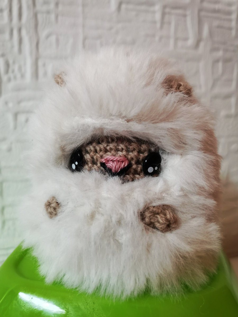 Das ist Flauschi, und auch wenn meine Handykamera behautet es ist ein Hund, so ist Flauschi doch ein kleines Schaf. Morgen wird Flauschi verpackt und wartet dann als Geburtstagsüberraschung auf einen neuen Besitzer.

#häkeln #crochet #selfmade #schaf