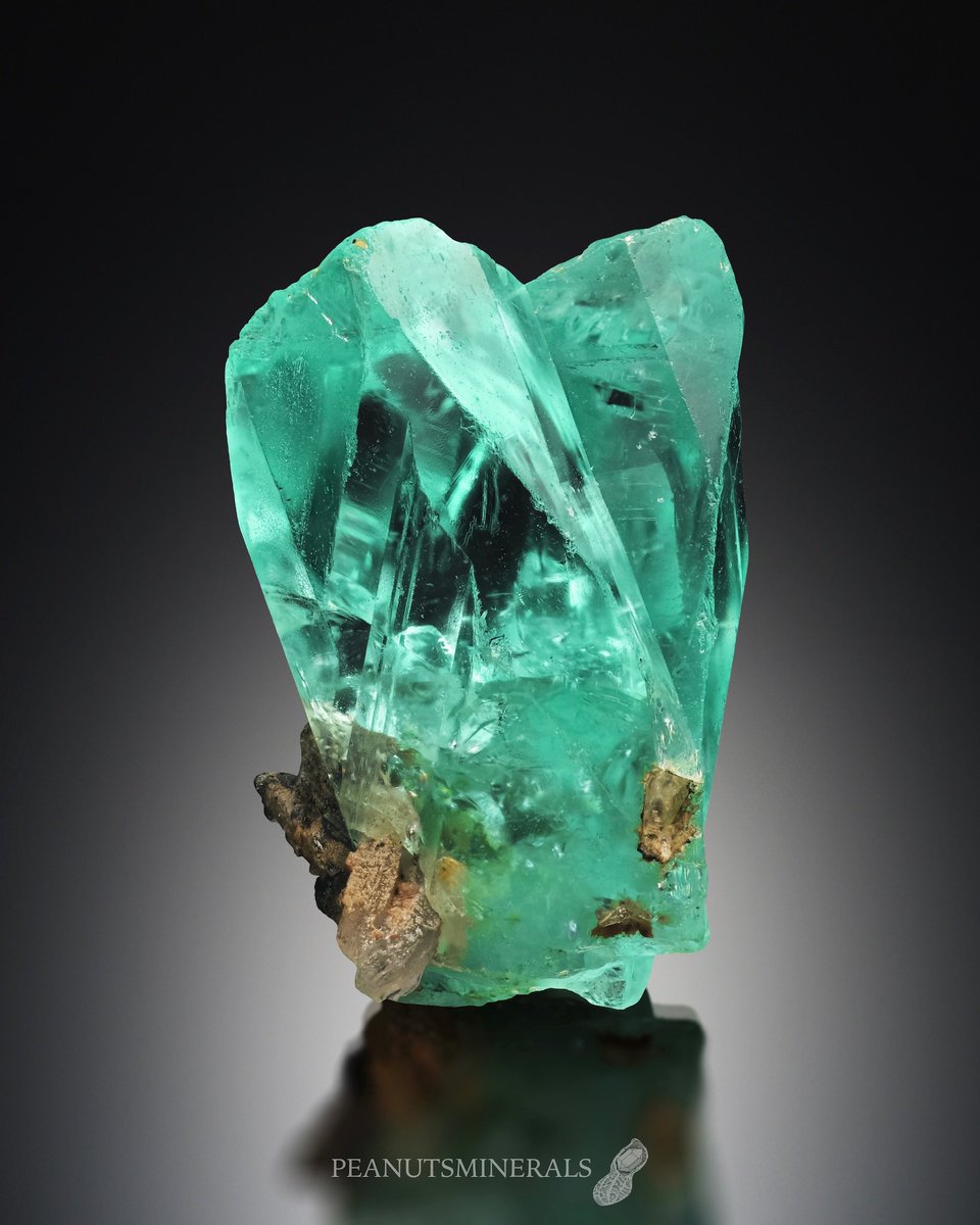 Phosphophyllite Cerro de Potosi, Potosi City, Potosi Department, Bolivia 18×9×12mm No. 1346 #phosphophyllite #フォスフォフィライト #peanutsminerals