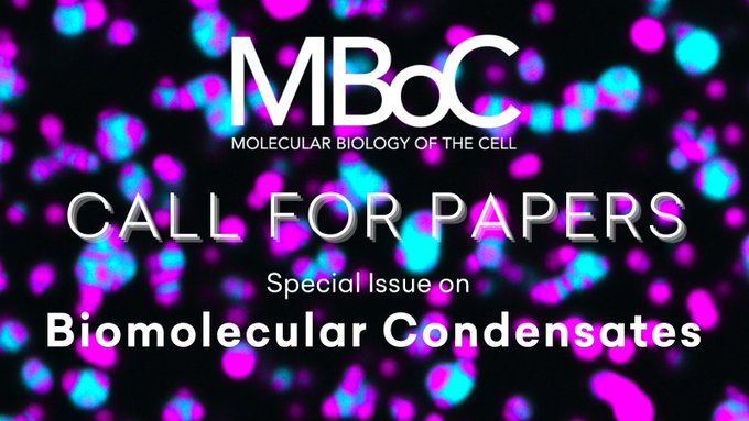 American Society for Cell Biology (@ascbiology) on Twitter photo MBoC Call for Papers: Special Issue on #BiomolecularCondensates
Submit an article by June 30 to be considered by lead editors:
<a href="/GladfelterLab/">Gladfelter Lab</a>, <a href="/UNC/">UNC-Chapel Hill</a>
Jeffrey B. Woodruff, <a href="/UTSWNews/">UTSW Media Relations</a>
<a href="/lab_zhang/">Huaiying Zhang</a>, <a href="/CarnegieMellon/">Carnegie Mellon University</a>
Learn more and submit: molbiolcell.org/biomolecular-c… MBoC Call for Papers: Special Issue on #BiomolecularCondensates
Submit an article by June 30 to be considered by lead editors:
<a href="/GladfelterLab/">Gladfelter Lab</a>, <a href="/UNC/">UNC-Chapel Hill</a>
Jeffrey B. Woodruff, <a href="/UTSWNews/">UTSW Media Relations</a>
<a href="/lab_zhang/">Huaiying Zhang</a>, <a href="/CarnegieMellon/">Carnegie Mellon University</a>
Learn more and submit: molbiolcell.org/biomolecular-c…