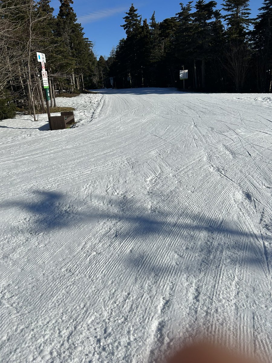 Tuesday ☀️: Pippy Park (9am) - Fully groomed and very fast on skate skis. No classic track set. Be careful coming down junction… corner to slope is ice! 
It’s a beautiful day to be outside! @PPWACTrails
