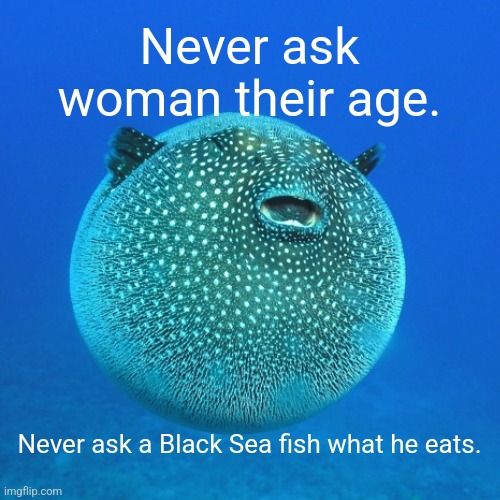 After Bakhmut scientists are observing that the local animals are over weight.