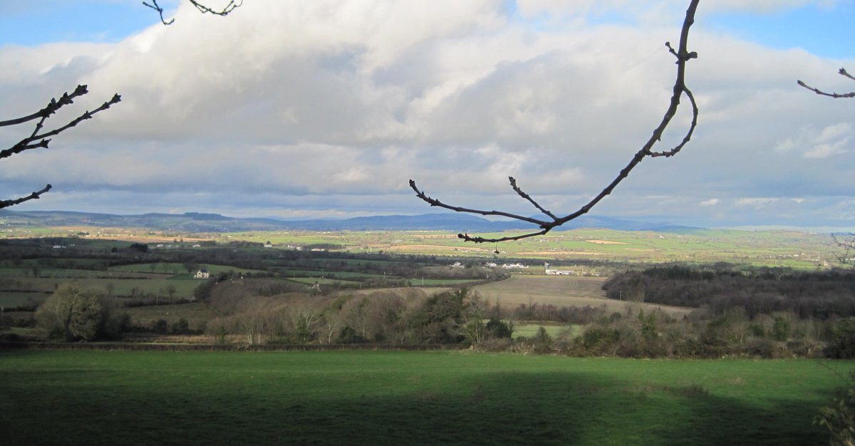 Mark Boland, <a href="/TeagascACP/">Teagasc Ag Catchments</a> Advisor, describes how targeted management, like Declan Roche’s efforts in the Ballycanew catchment, can significantly improve soil pH and phosphorus levels, reduce nitrogen usage, and enhance sustainable farming practices. More at bit.ly/3wCdURX