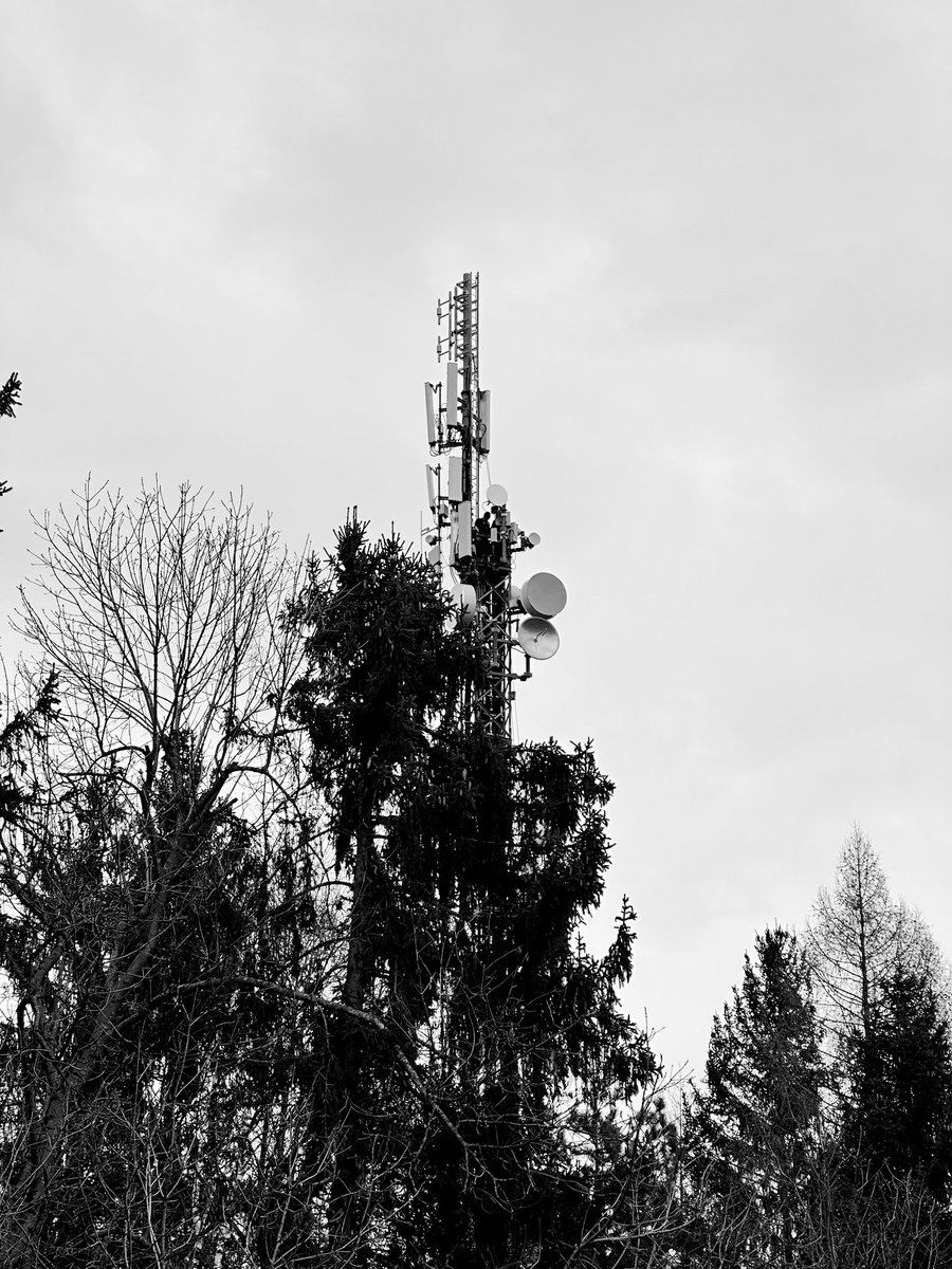 Hanns Wolter tweet media