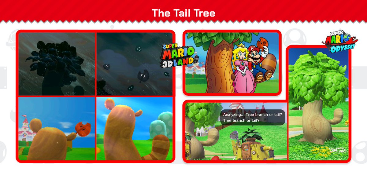 Fact: Super Leaves grow on the mysterious Tail Tree, which can be found near Peach's Castle.

Storms can spread the Super Leaves across the Mushroom Kingdom, as seen in Super Mario 3D Land. The tree also makes an appearance, with its leaves grown back, in Super Mario Odyssey.