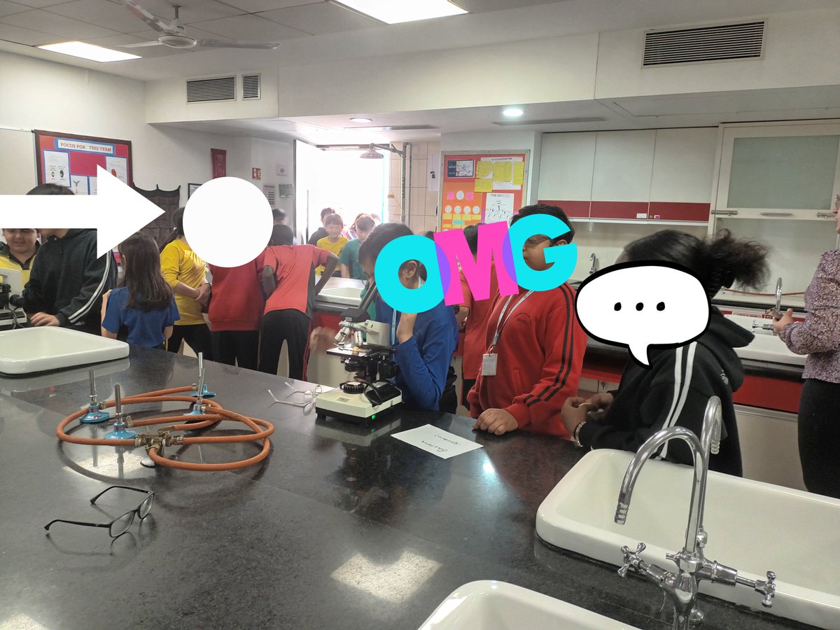 Year 6 students were amazed to see the world of micro-organisms through the lens of microscopes in their Science unit Living Things and Habitats #experiential learning #abstract to concrete #making learning stick <a href="/TBS_Delhi/">TBS Delhi</a> <a href="/Year6_TBS/">Year6_tbsdelhi</a> <a href="/sneh_wadhwaney/">Sneh Wadhwaney</a>