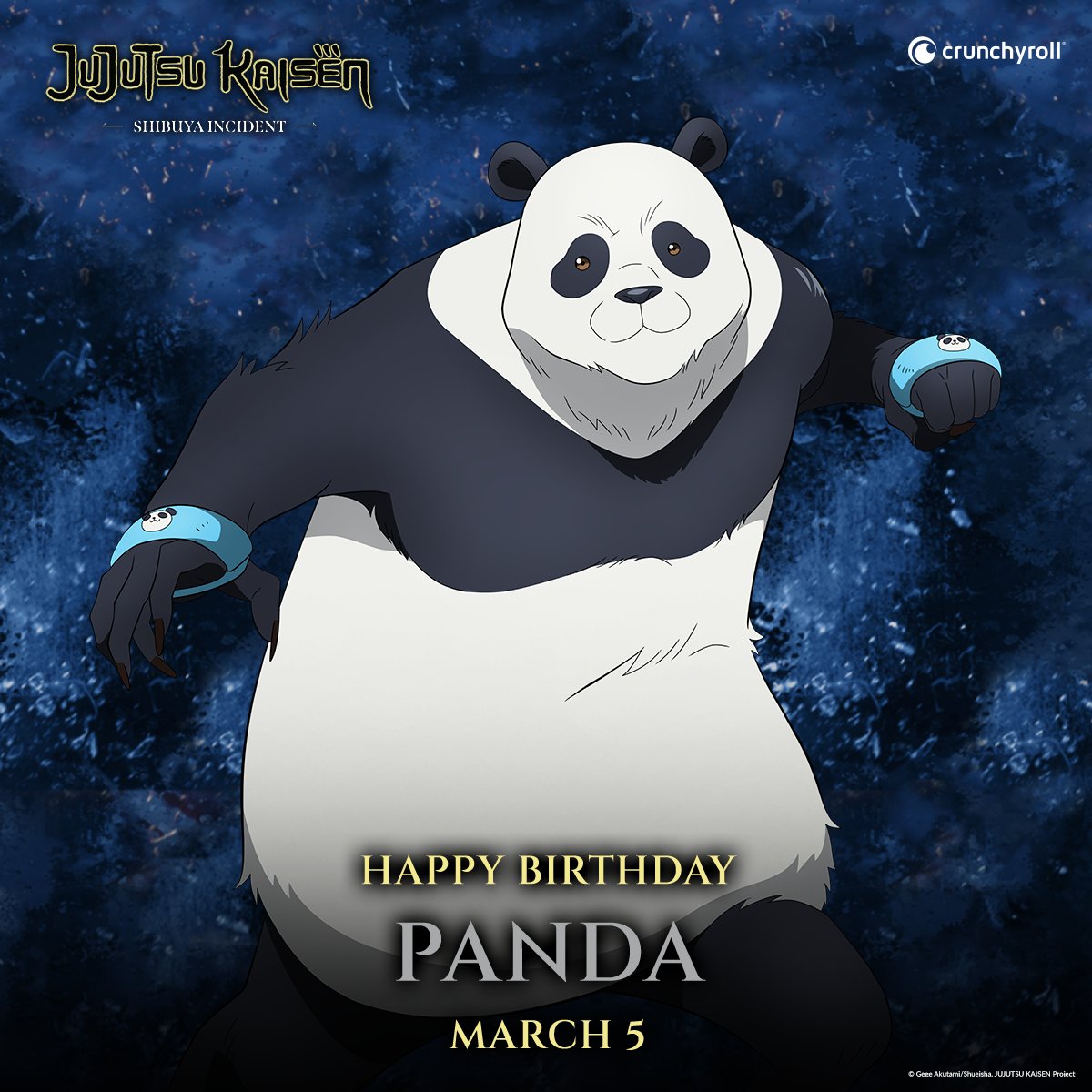 Happy birthday, Panda 🎉