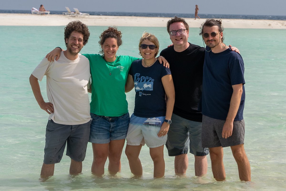 It’s going great. We are in @diamonds_athu and see a lot of daily shark action. This year we also collect underwater footage in this crystal clear water. Team shark thanks Inga Dehnert from @MaRHECenter for the incredible opportunity to be here. @icouzin @AugustPala @po7ooo…