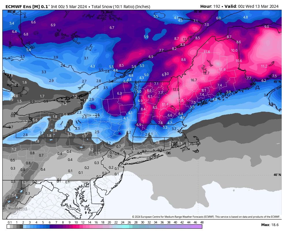Will Ciccone tweet media