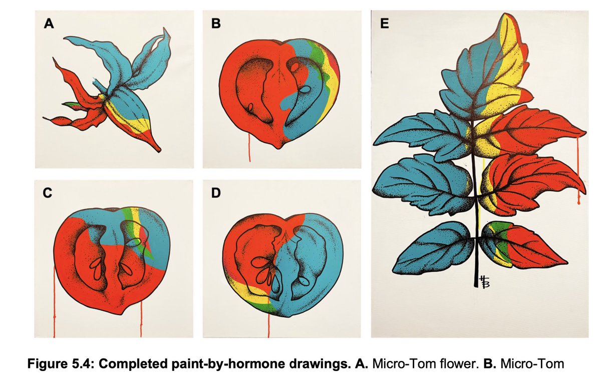 'Paint by Hormones'. Beautiful artwork by student and artist Hannah Berry. Different colors are quantities of different phytohormones, determined by mass spec. This will be shown at the 1st ICAR ART SHOW at #ICAR2024SanDiego. Join us and bring your ART! @NAASC_NA_ICAR