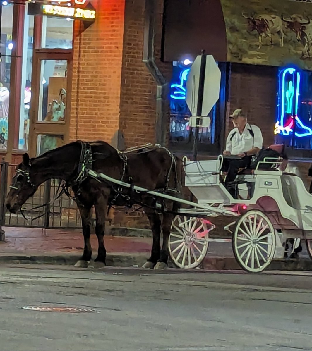 This is no place for a horse.
Please 
#banhorsecarriagesdallas
#HumaneLegislation 
#HumaneTourism
Please share X
Dear 
@DallasMayor
@Johnson4Dallas @CityOfDallas 
@wfaa @NBCDFW @CBS11 @visit_dallas @dallasobserver_ @ChiAnimalRights @Rev_philly @HRUncovered @BanHorseCariage 
@peta