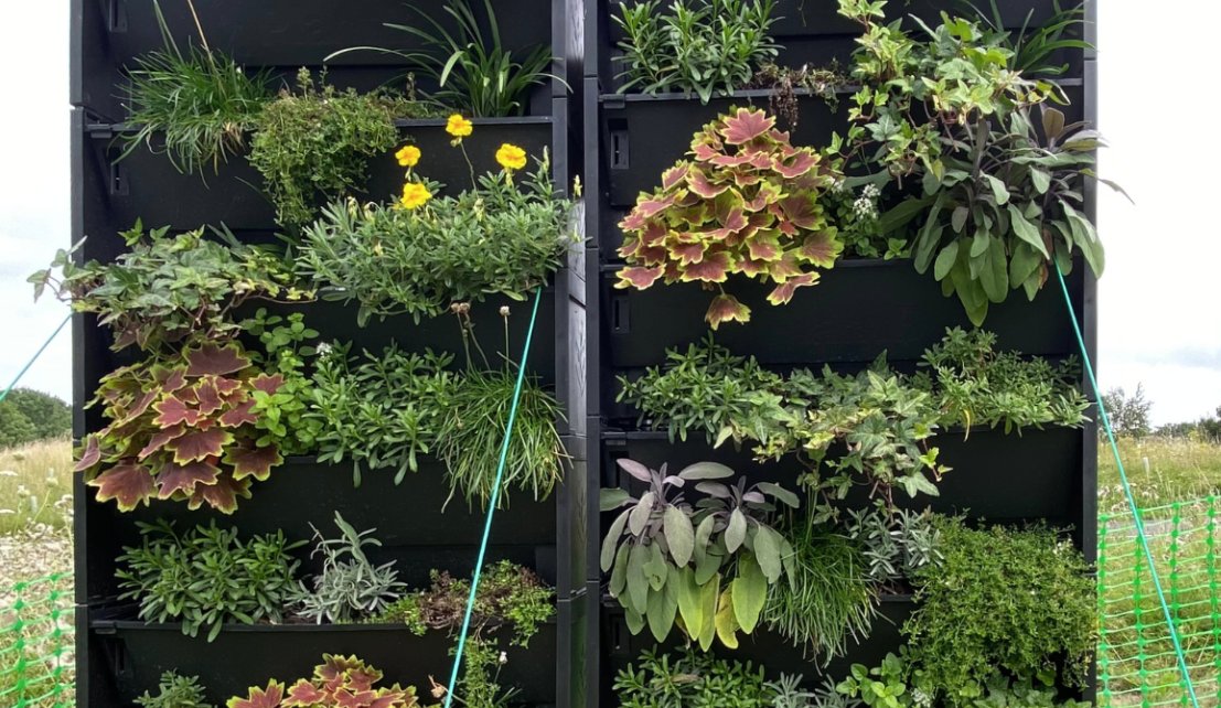 uniofsurreyVC's tweet photo. Green walls can strip pollution from the air – and some plants do it better than others, according to new #research from @UniofSurrey: https://t.co/pu0dTKhOf9
@oneinbillion @pk_shishodia #GCARE @AirPollSurrey https://t.co/3ZnCns28ZN