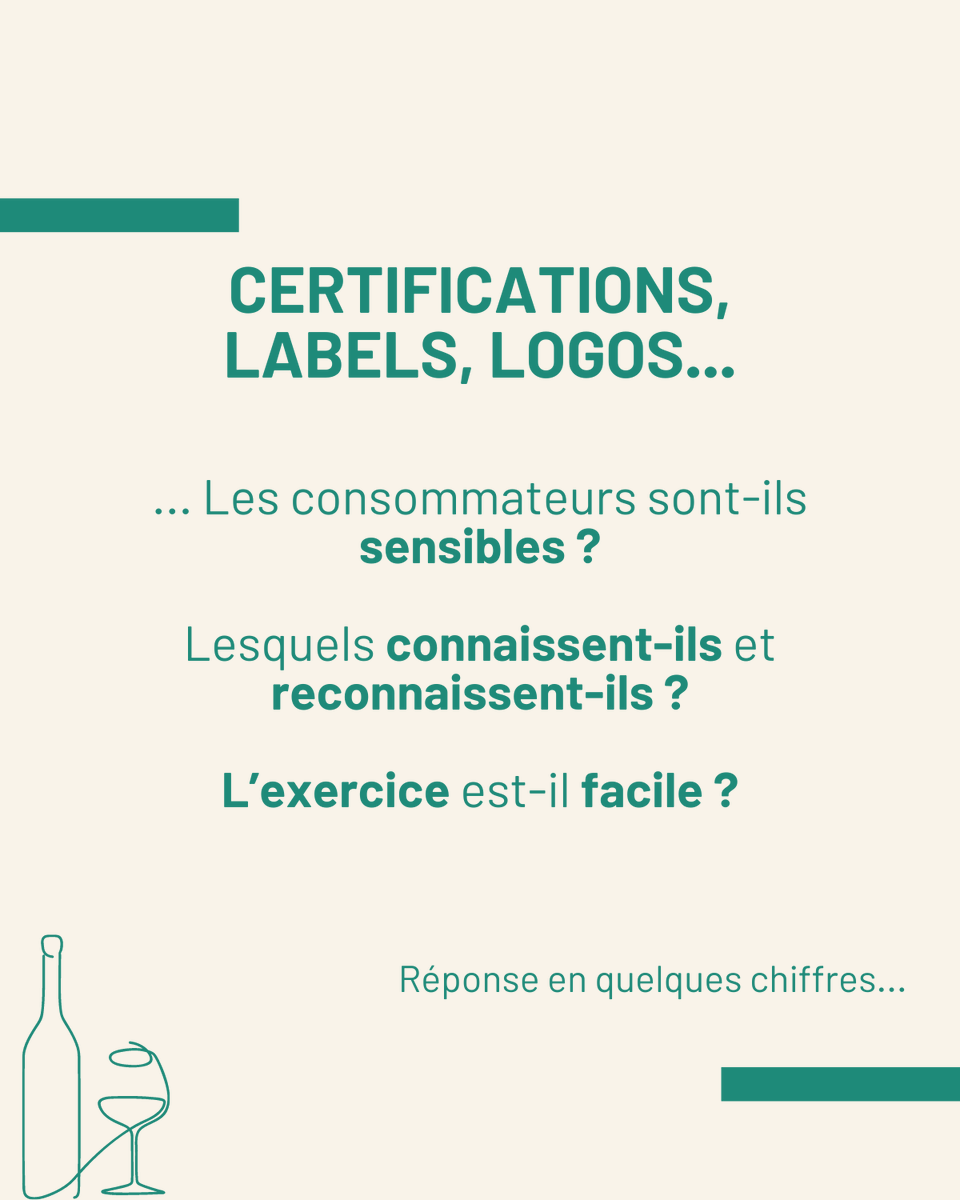 Terra Vitis tweet media