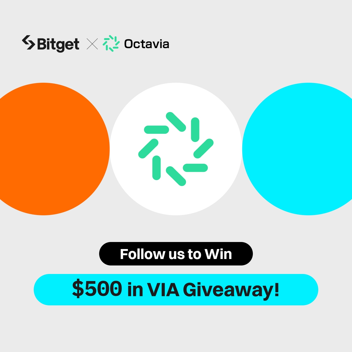 bitget's tweet photo. Join the #Bitget x #Octavia Giveaway! 

💰 $500 in $VIA (10 winners)  

1️⃣ Follow @bitgetglobal @OctaviaToken
2⃣ RT with #VIAxBitget & tag your friends 
3⃣ Fill out the form: https://t.co/eEBAVCH5Z6
4⃣ Join: https://t.co/f7DL1nSPpL