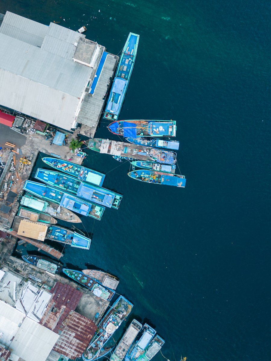 Int Pole & Line Fdn (@ipnlf) on Twitter photo Let's see who has been paying attention. How many pole-and-line fishing vessels can you see in this image? Hint: You should be able to identify them by a unique feature that acts as the fishing platform. Bonus point if you can identify the sunken vessel too 📷 <a href="/stuarthab/">Stuart Hablutzel</a> Let's see who has been paying attention. How many pole-and-line fishing vessels can you see in this image? Hint: You should be able to identify them by a unique feature that acts as the fishing platform. Bonus point if you can identify the sunken vessel too 📷 <a href="/stuarthab/">Stuart Hablutzel</a>