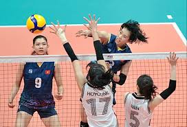 BeatrizCaliman6's tweet photo. Mesmerizing spikes: Women's volleyball thrills with dynamic plays! https://t.co/m6kHyuJbxy