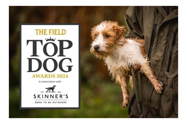 To nominate your dog or a friend’s for The Field Top Dog Awards simply click the link below or visit: thefield.co.uk for more information on categories, prizes and the rules. May the best dog win… trib.al/AhkwqQg