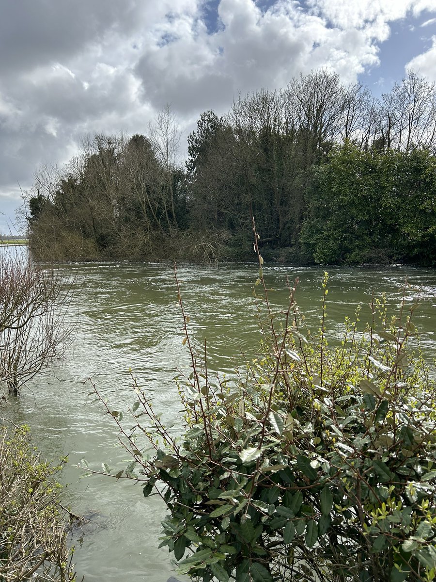 Taking in some #nature by the river Thames after the first of our #LNRS workshops in Oxfordshire. A very successful morning