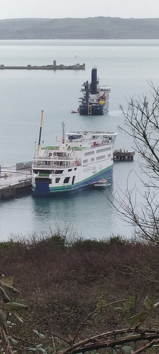 AytonJustyn's tweet photo. Boycott portland port ๐ฌ๐ง Victoria of wight ๐ฌ๐ง in #Portland on 5/3/24. A Ro-Ro Passenger Ship. #Weymouth #dorset #Victoriaofwight #Wightlinkltd #Ferry #Shipsphotography #Shipslnpics #RoRoPassenger #Shipspotting #Portsmouth #Photography https://t.co/qxENkbnMT4