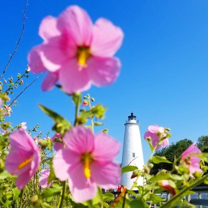 Only 14 days until Spring! 😍🌺 Have you booked your next visit to Ocracoke yet? visitocracokenc.com #visitocracokenc #visitnc #ocracoke #outerbanks #obx #nc #northcarolina #island #travel #spring #vacation