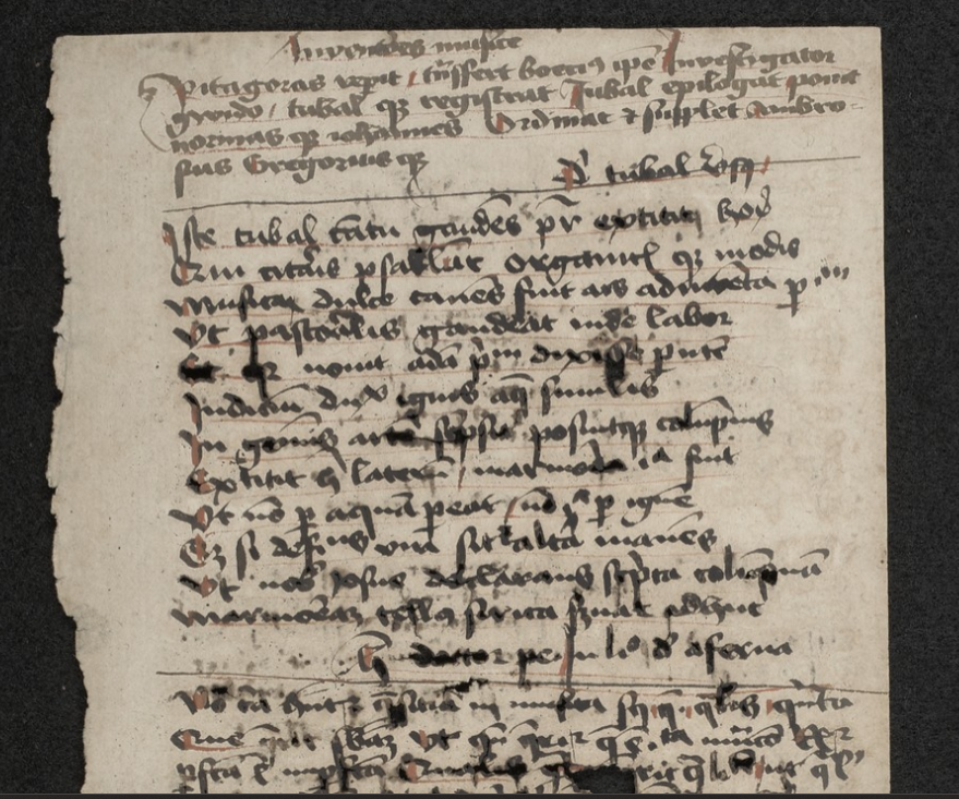 MMFCbe's tweet photo. Last week we finally completed the photography of the fragments at the Brussels Conservatoire. They're now all on Fragmentarium: adiastematic chant, a collection of extracts from musical treatises, illuminated chant MSS from Italy and France and more. https://t.co/hvPBBR2wDY https://t.co/vWfjNjS2At