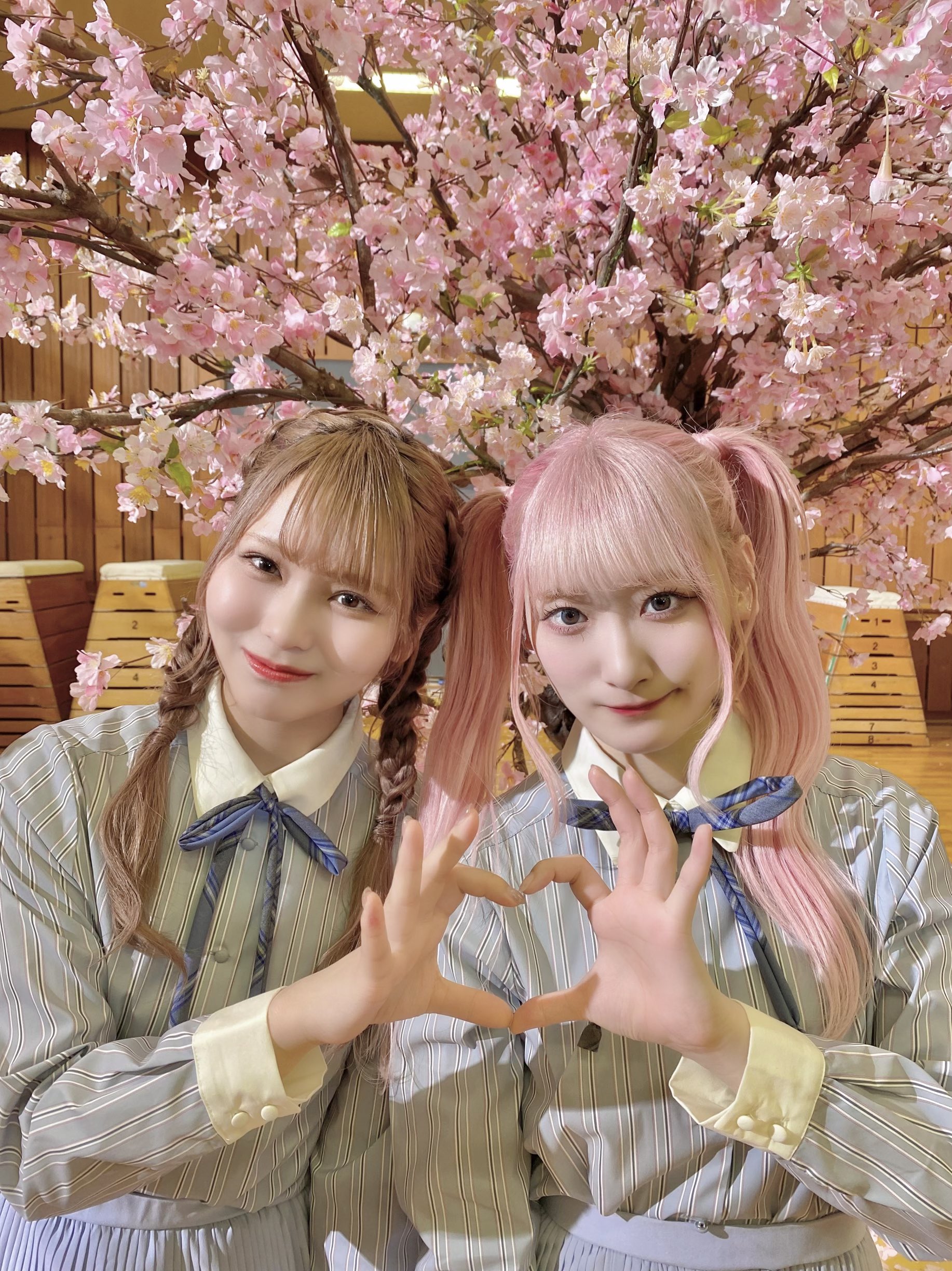 大場 花菜 on X: 