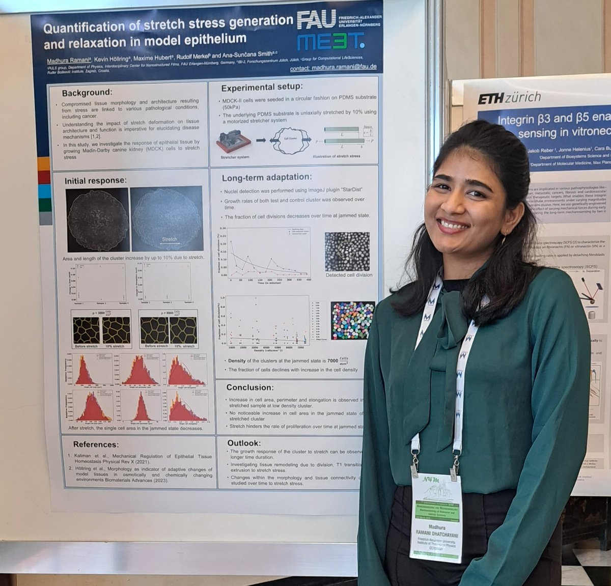 GroupPuls's tweet image. Had a great start at the N4M conference in Camogli. Our PhD students @Rd_madhura and Narmin presented their posters on Response of epithelial cells to stretch and shear stress. #N4M 
Here are some highlights: