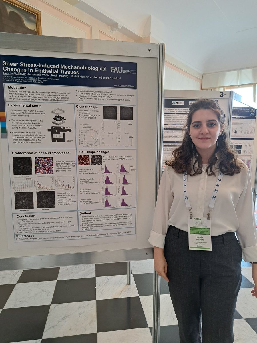 GroupPuls's tweet image. Had a great start at the N4M conference in Camogli. Our PhD students @Rd_madhura and Narmin presented their posters on Response of epithelial cells to stretch and shear stress. #N4M 
Here are some highlights: