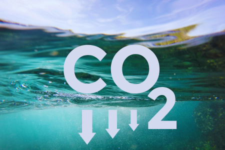 Mit der bevorstehenden Veröffentlichung der „Carbon Management Strategie“ der Bundesregierung sollen #CCS-Felder in Meereszonen in der #Nordsee zugelassen werden. Das könnte zu weitreichenden Klima- und Umweltschäden führen. attac.de/startseite/tea…