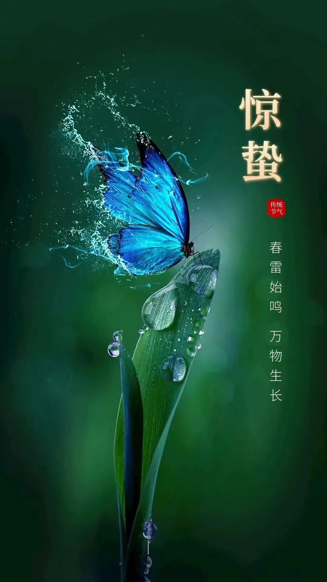 Jimmymi2's tweet image. 