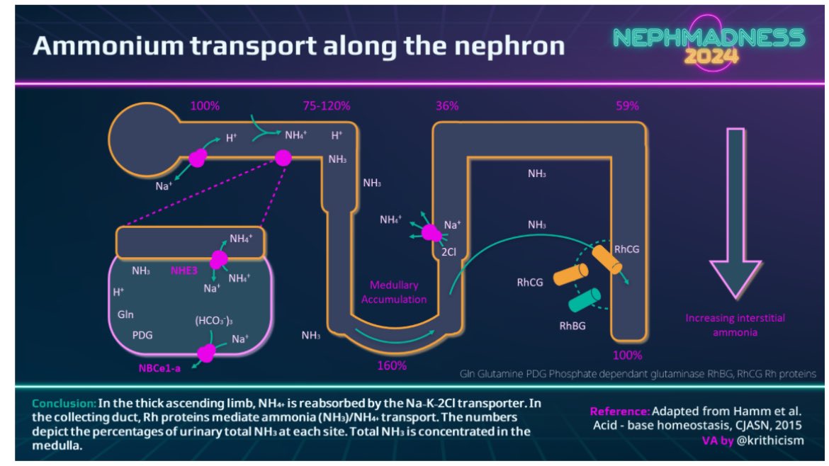 🤷‍♀️Things we do for no reason in Nephrology 🤔Urine Anion gap AG 🌝Used as proxy for Urine ammonium excretion in NAGMA 🅰️Urine AG + in Renal tubular acidosis 🅱️Urine AG negative in Diarrhea ❌But has limitations and assumptions ✅Can use urine ammonium instead