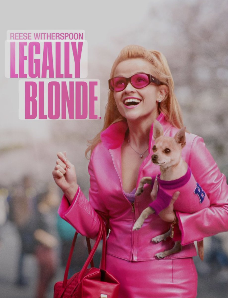 “Legally Blonde” teaches us two important lessons: 1. Above a certain IQ level, EQ becomes one’s primary differentiator in the world. 2. Domain expertise in hyper obscure areas (in Elle’s case, perms) can enable one to ‘crack the case’, so to speak. Highly underrated film.