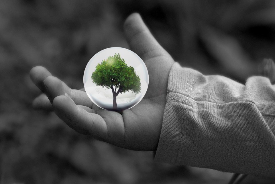 #díainternacionaldelaeficienciaenergetica ¿Sabes si eres #sostenible?¿Haces lo posible por la #eficienciaenergetica? <a href="/preoca_MA/">PREOCA</a>  lo tenemos claro y queremos ayudarte a ello. ¿Quieres saber más? preoca.com/auditorias-ene…

#comprometidos #medioambiente #actuamos #PorElClima