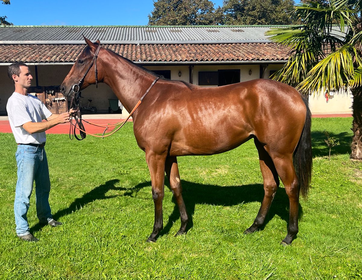 50% of his sister by #Threat still available! 

Contact us for more information.