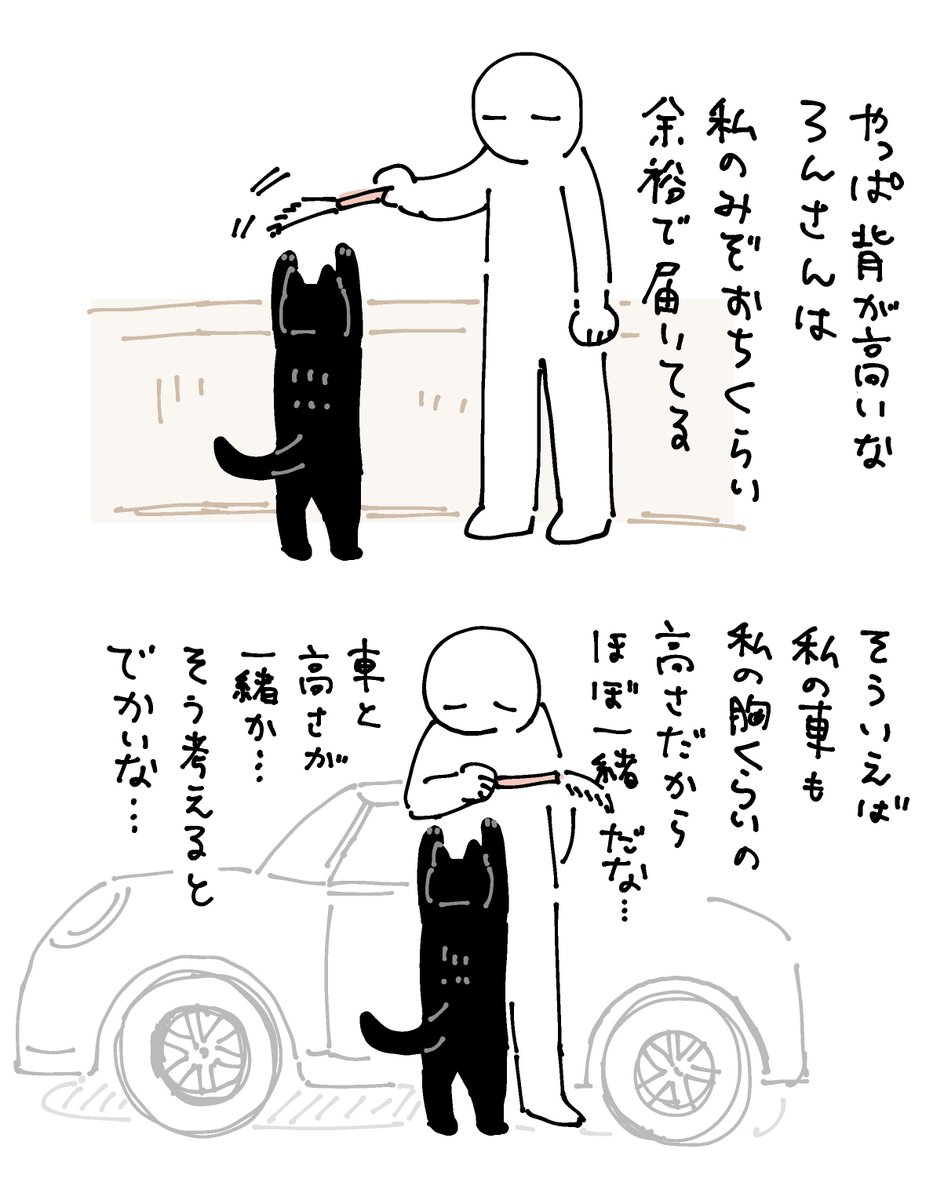 愛猫と愛車の背の高さ、ほぼ一緒 