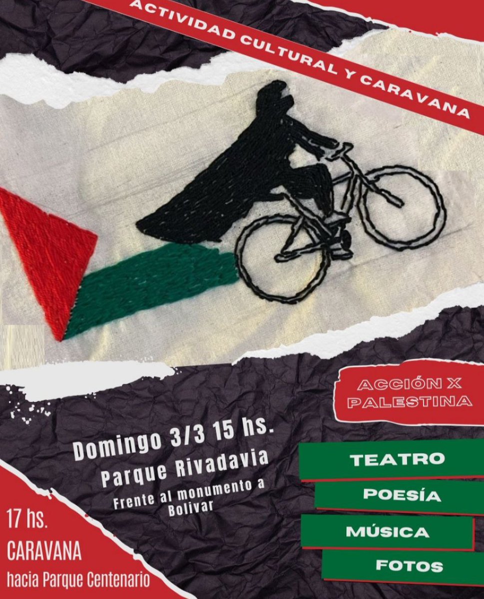 Fed Arg Palestina tweet media