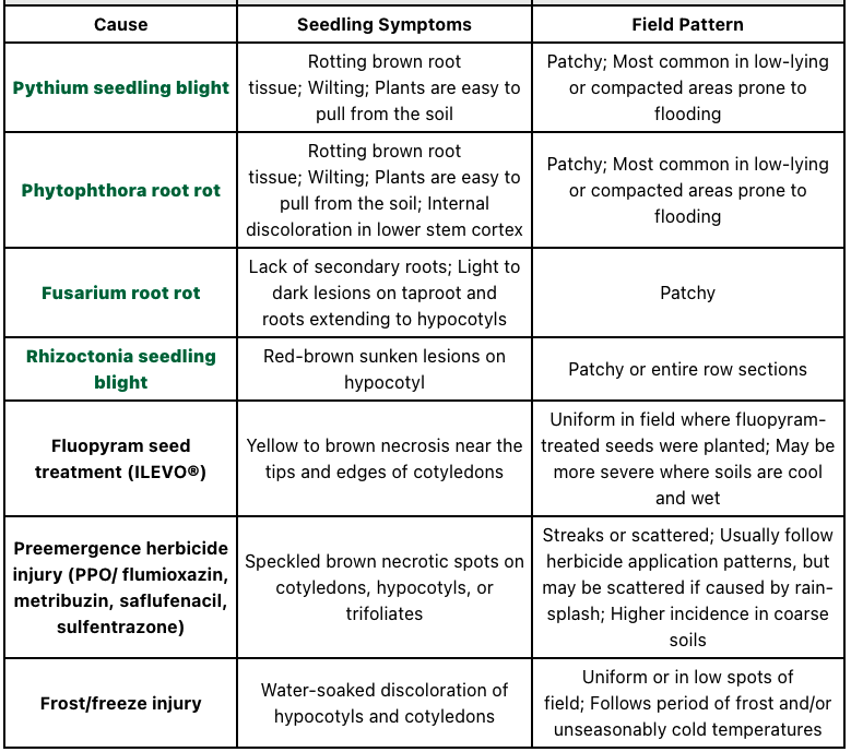 Check out the soybean seedling disease overview from Extension at cropprotectionnetwork.org/publications/a… @cropdoc08 @MartinChilvers1 @AlbertTenuta @baldpathologist @dsmuelle @maddishires @MandyBish1 @MahDuffeck @KSUCropdiseases @ppp_trey @alisonrISU @DTelenko @alabamaED #agtwitter #plant24