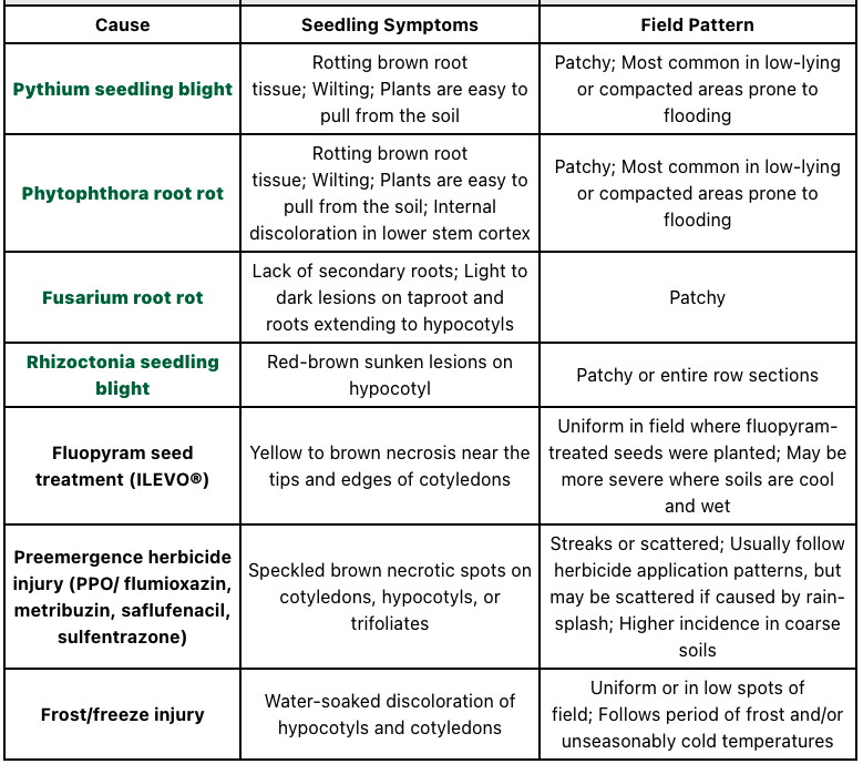 Check out the soybean seedling disease overview from Extension at cropprotectionnetwork.org/publications/a…

@cropdoc08 @MartinChilvers1 @AlbertTenuta @baldpathologist @dsmuelle @maddishires @MandyBish1 @MahDuffeck  @KSUCropdiseases  @ppp_trey @alisonrISU @DTelenko @alabamaED #agtwitter #plant24