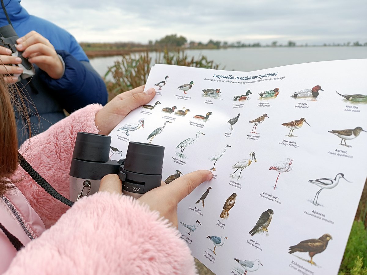 ✨ Exciting news from Greece! 🇬🇷 As part of #PelicanWayOfLife, @ornithologiki is heading an inspiring educational campaign, engaging students in wildlife conservation and environmental sustainability.🎒 Learn more 👉 bit.ly/EducationGreece @LIFEprogramme #DalmatianPelican