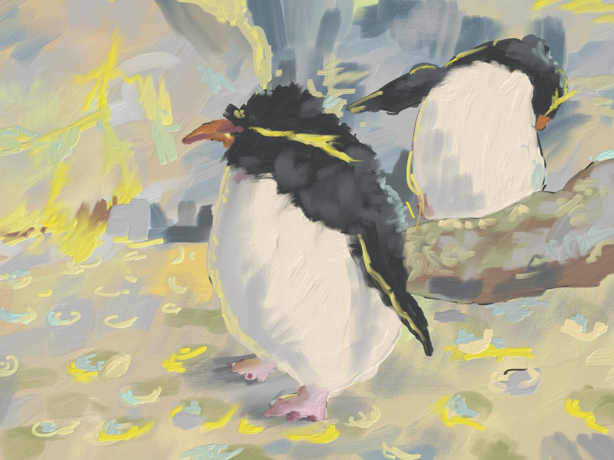 「イワトビペンギンスケッチ。 」|ペンギンラッシュのイラスト