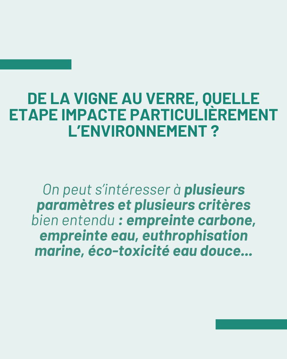 Terra Vitis tweet media