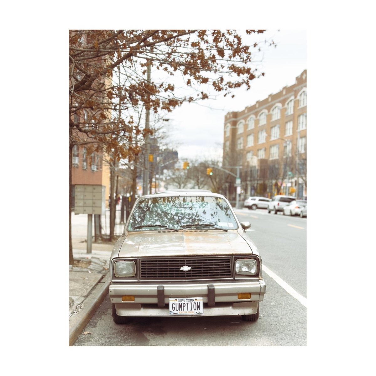 mparkin2's tweet image. Some shots from yesterday in the Bronx