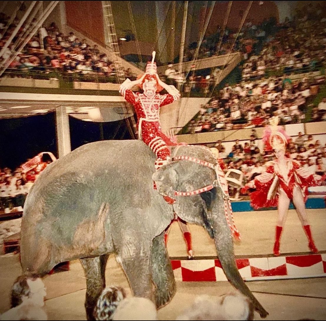 This week I’m talking to life long clown, Clown Kong. Clown Kong’s career in clowning started in the 1980’s when he attended Ringling Brothers Clown College. He then spent two years on the road with Ringling Brothers. listen on apple and Spotify #podcast #podcaster #circus #clown