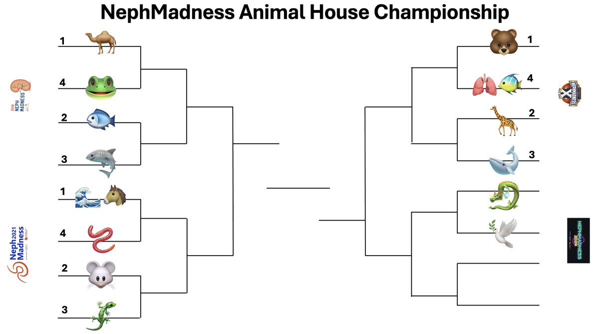 The #NephMadness #AnimalHouse Championship Bracket has been set

The winner will be decided via the popular vote/polls 

Voting for 2018 competitors will start soon...🐪🦈🐟🐸 <a href="/AJKDonline/">AJKD</a> <a href="/NephMadness/">NephMadness</a> 

ajkdblog.org/2018/03/15/nep…