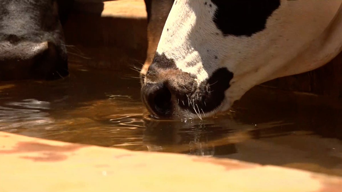 riskunplugged's tweet photo. Let's use technology that conserves water!
#WaterCrisis 
#waterharvesting
#farmingandinnovation
#youthinconservation https://t.co/O6ziGQHcAL