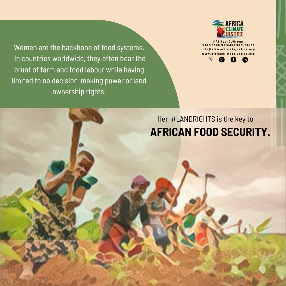 March is here and our spotlight is on the resilience of Maradi women in Niger, who battle #foodinsecurity, #climatechange, and unequal access to land.  Equal access to land empowers women to feed their families and make valuable contributions to communities.  #WomenLandRights