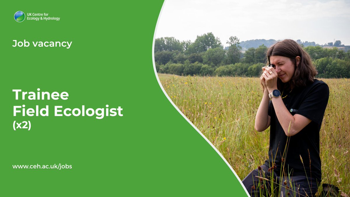 📢 Are you based in Wales? We are looking for 2 x Trainee Field Ecologists to join us in Bangor for an exciting 6-week appointment 🌼🌿🔎

Please check the selection criteria for these posts before applying!

See details and apply here by 20 March: ceh.wd3.myworkdayjobs.com/CEH_Careers/jo…