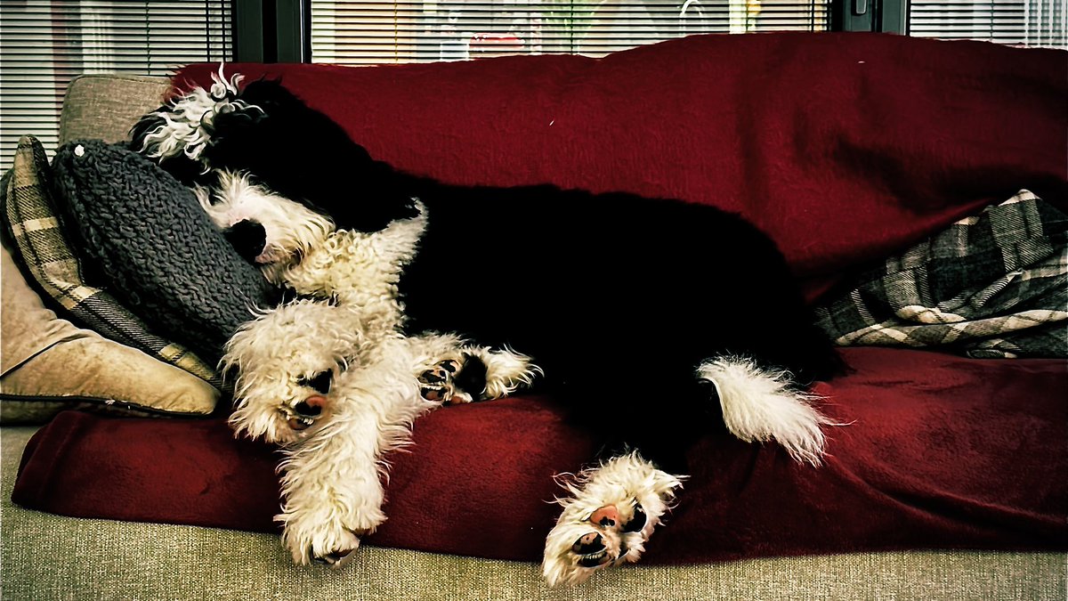 Scott Bateman MBE tweet media